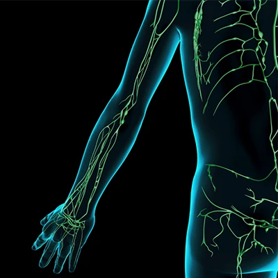 Thumb MUNE MUNIX webinar